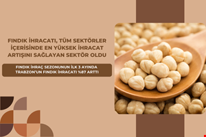 FINDIK İHRAÇ SEZONUNUN İLK 3 AYINDA  TRABZON'UN FINDIK İHRACATI %87 ARTTI